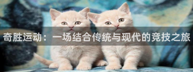 凯捷体育五金厂：奇胜运动：一场结合传统与现代的竞技之