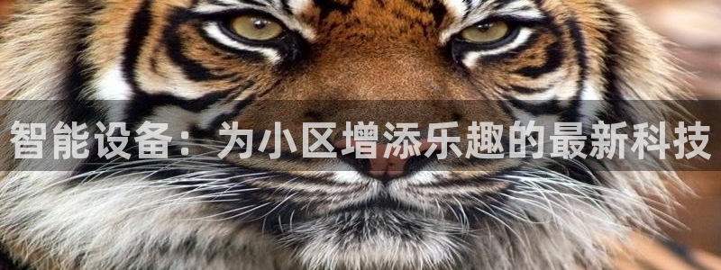 凯捷体育代理：智能设备：为小区增添乐趣的最新科技