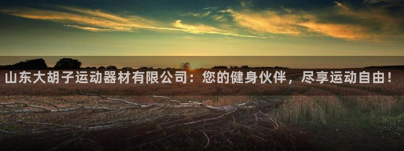 凯捷体育神州：山东大胡子运动器材有限公司：您的健身伙