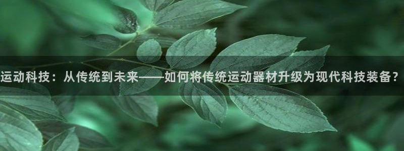 德国凯捷体育集团：运动科技：从传统到未来——如何将传
