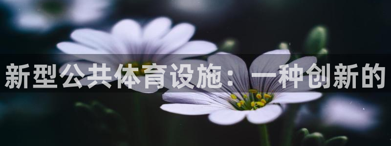 凯捷体育招商电话号码是多少号：新型公共体育设施：一种