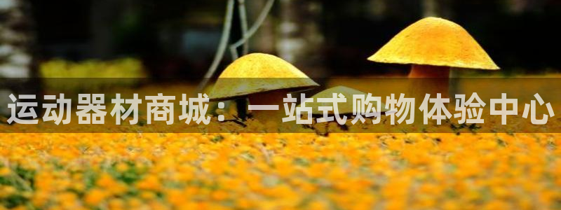 凯捷体育：运动器材商城：一站式购物体验中心