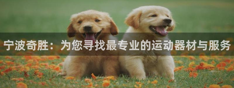 凯捷体育招商电话号码查询：宁波奇胜：为您寻找最专业的