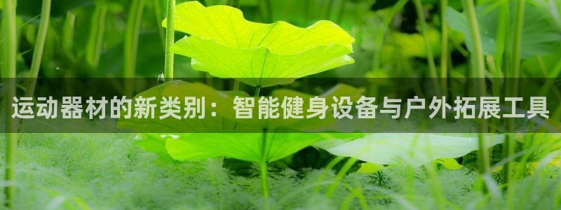 凯捷体育平台注册要钱吗安全吗：运动器材的新类别：智能