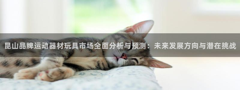 凯捷体育平台注册要钱吗：昆山品牌运动器材玩具市场全面