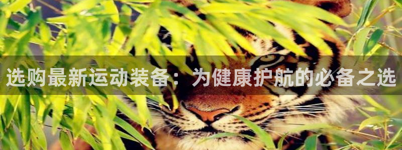 凯捷体育集团logo：选购最新运动装备：为健康护航的
