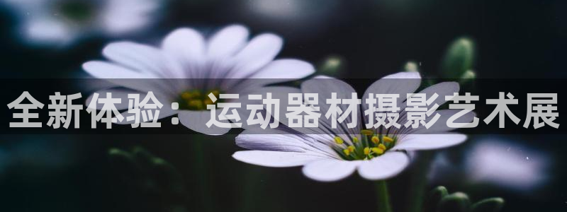 凯捷体育娱乐下载：全新体验：运动器材摄影艺术展