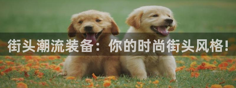 凯捷体育招商电话是多少啊：街头潮流装备：你的时尚街头