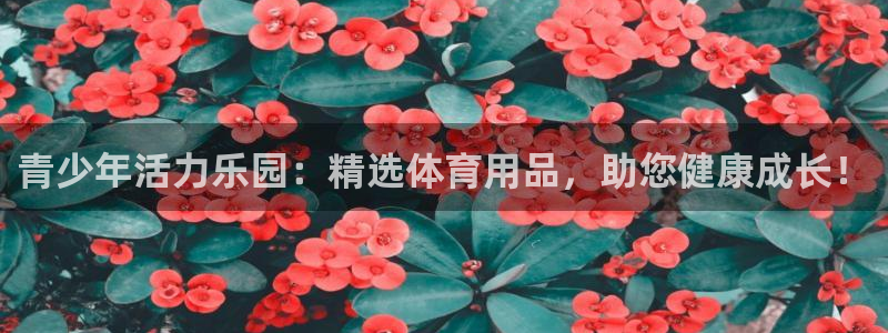 凯捷体育招商电话号码是多少啊：青少年活力乐园：精选体