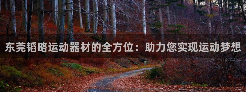 凯捷体育招商电话号码是多少：东莞韬略运动器材的全方位