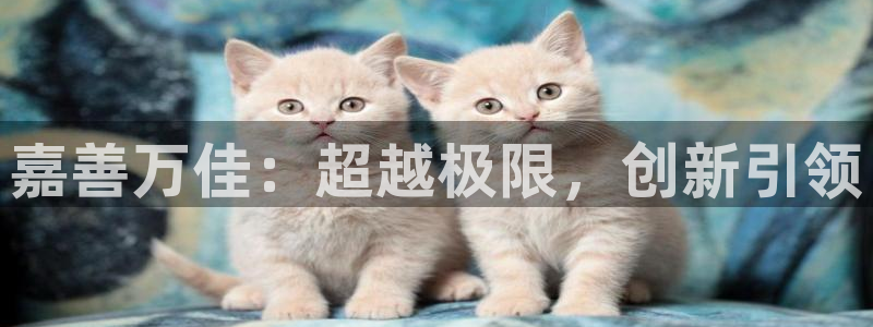 凯捷体育招商电话号码是多少号：嘉善万佳：超越极限，创
