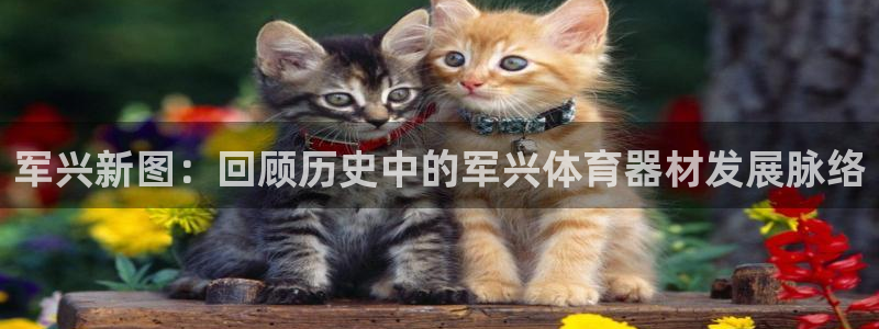 凯捷体育平台是正规平台吗知乎：军兴新图：回顾历史中的军兴体育
