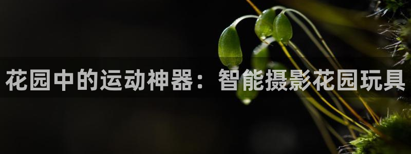 凯捷体育集团官网网址