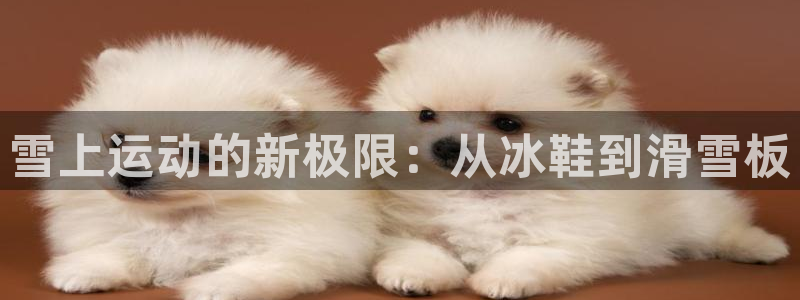 凯捷体育集团：雪上运动的新极限：从冰鞋到滑雪板