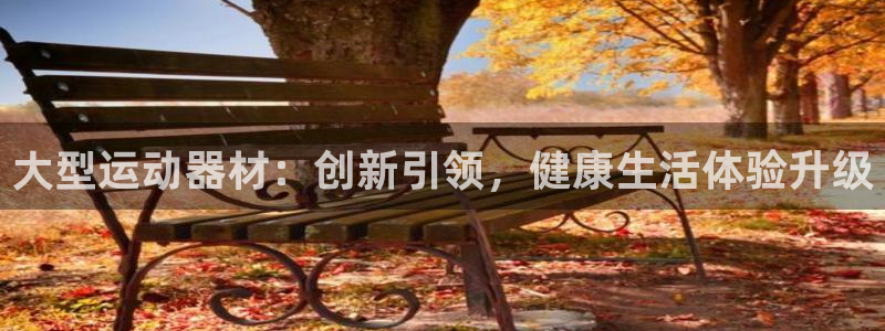 凯捷体育注册：大型运动器材：创新引领，健康生活体验升级
