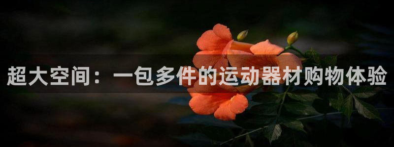凯捷体育娱乐首页网站大全