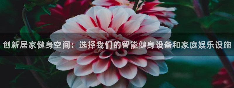 凯捷体育招商：创新居家健身空间：选择我们的智能健身设备和家庭