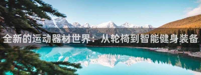 凯捷体育娱乐40996：全新的运动器材世界：从轮椅到