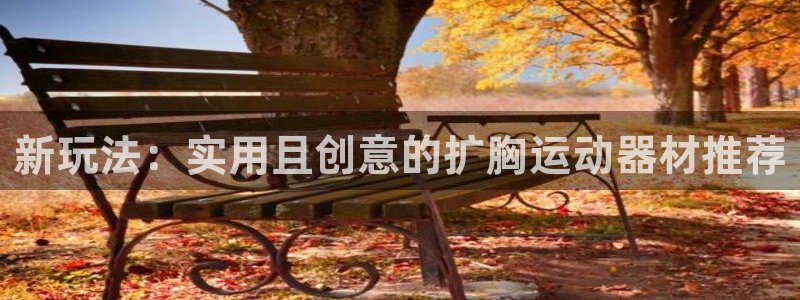 凯捷体育新能源：新玩法：实用且创意的扩胸运动器材推荐
