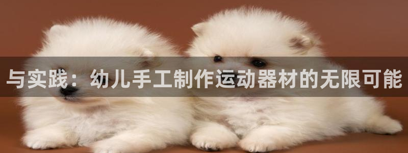 凯捷体育集团官网网址：与实践：幼儿手工制作运动器材的