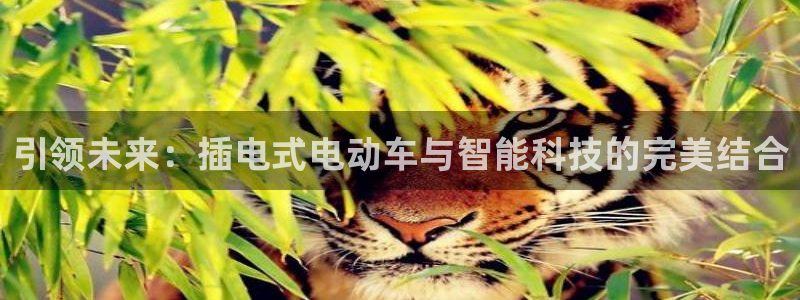 凯捷体育是干嘛的公司：引领未来：插电式电动车与智能科