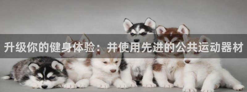 凯捷体育官方：升级你的健身体验：并使用先进的公共运动