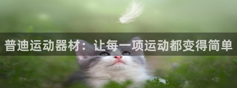 凯捷体育神州：普迪运动器材：让每一项运动都变得简单