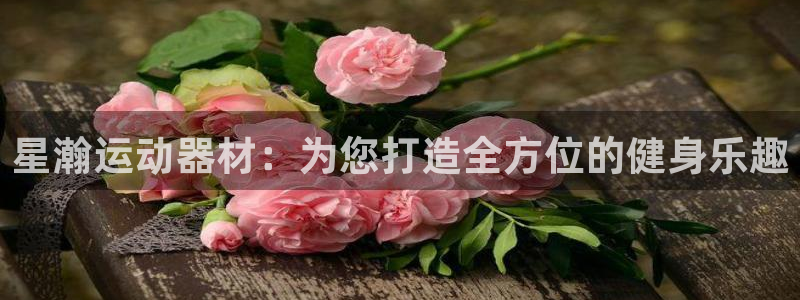 凯捷体育是干嘛的公司：星瀚运动器材：为您打造全方位的