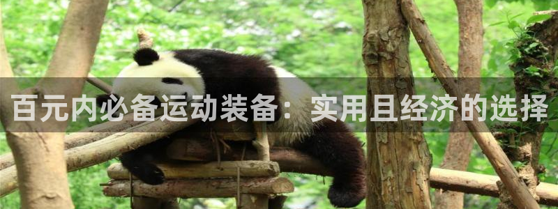 凯捷体育集团：百元内必备运动装备：实用且经济的选择