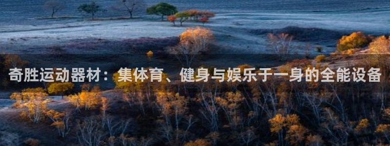 凯捷体育平台是正规平台吗：奇胜运动器材：集体育、健身