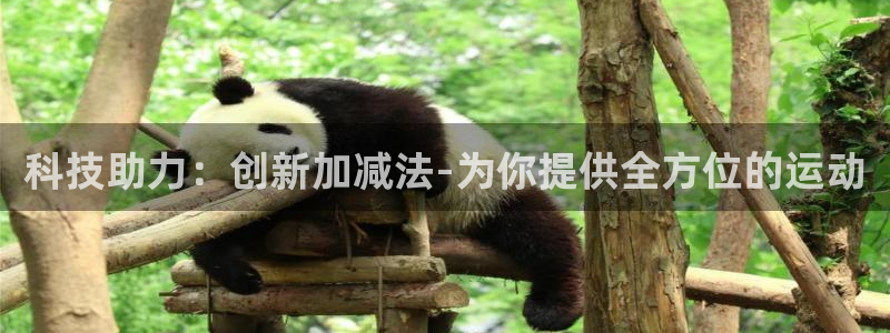 凯捷体育平台假的吗是真的吗：科技助力：创新加减法-为
