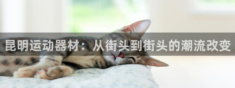 凯捷体育：昆明运动器材：从街头到街头的潮流改变