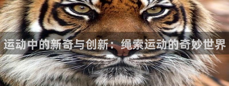 凯捷体育软件：运动中的新奇与创新：绳索运动的奇妙世界