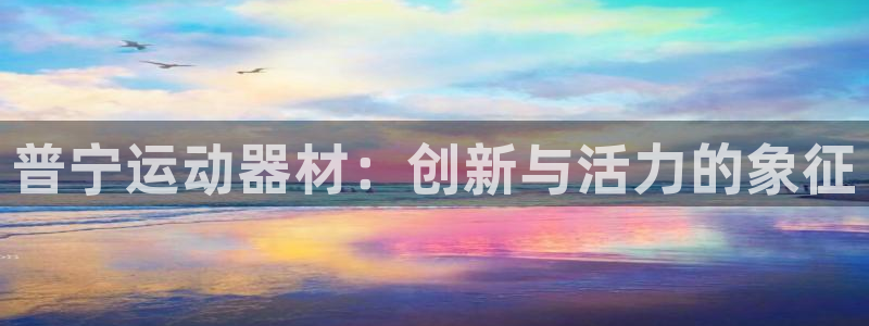 凯捷体育平台注册流程图：普宁运动器材：创新与活力的象征