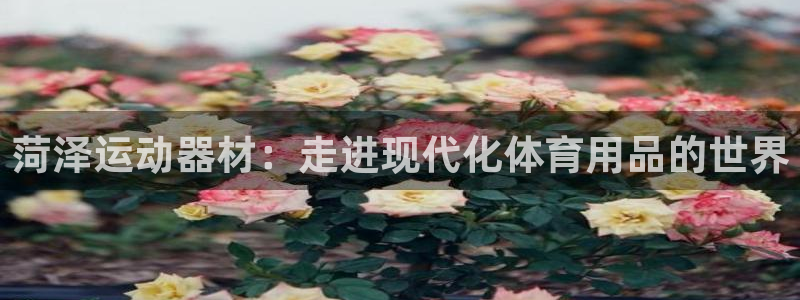 凯捷体育新能源：菏泽运动器材：走进现代化体育用品的世界