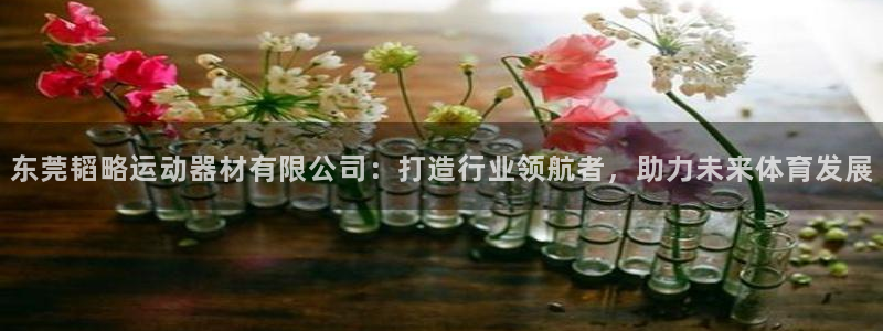 凯捷体育