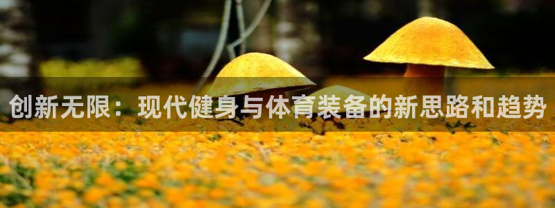 凯捷体育：创新无限：现代健身与体育装备的新思路和趋势