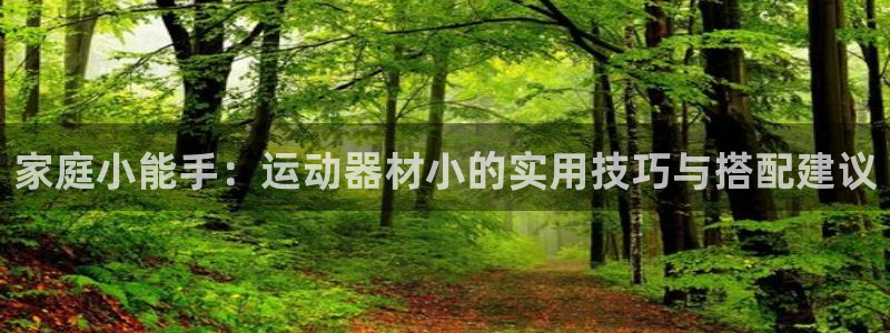 凯捷体育平台是正规平台吗：家庭小能手：运动器材小的实