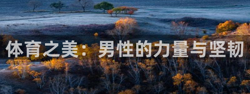凯捷体育平台注册流程视频：体育之美：男性的力量与坚韧