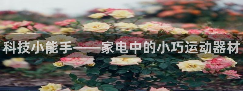 凯捷体育招商电话地址查询