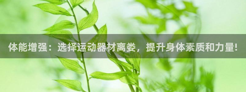 意昂平台体育