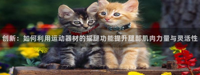凯捷体育联系电话：创新：如何利用运动器材的摇腿功能提升腿部肌