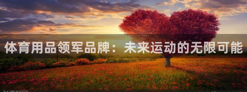 凯捷体育招商电话是多少啊:体育用品领军品牌:未来运动的无限可