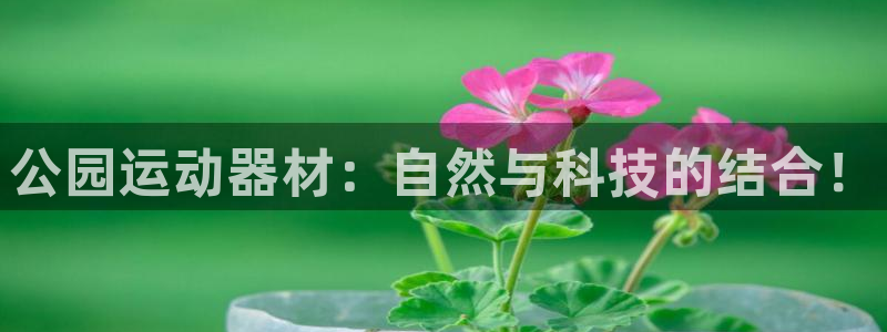 凯捷体育开户：公园运动器材：自然与科技的结合！