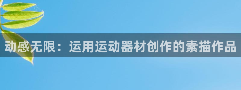 凯捷体育开户：动感无限：运用运动器材创作的素描作品