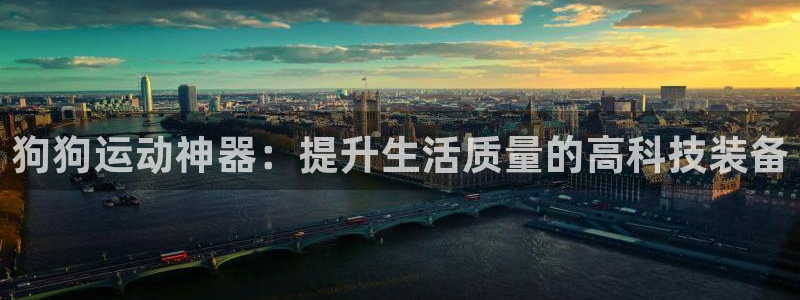 凯捷体育招商电话号码是多少：狗狗运动神器：提升生活质