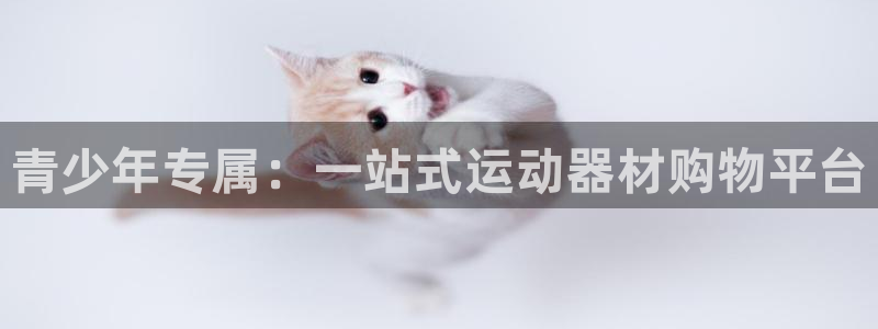 凯捷体育娱乐40996：青少年专属：一站式运动器材购物平台