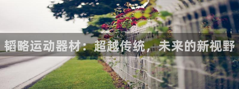 凯捷体育平台注册要钱吗：韬略运动器材：超越传统，未来的新视野