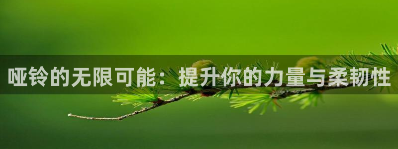 凯捷体育平台注册流程图：哑铃的无限可能：提升你的力量与柔韧性