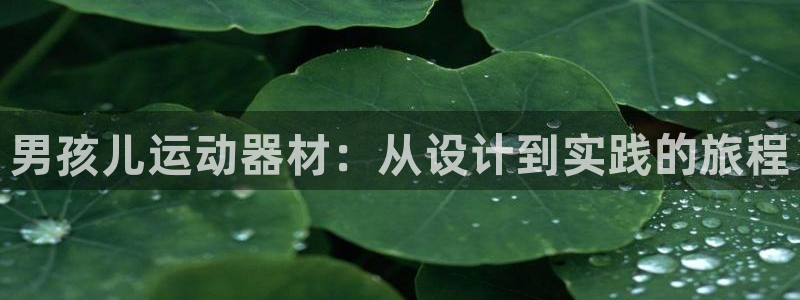 凯捷体育平台是正规平台吗安全吗：男孩儿运动器材：从设